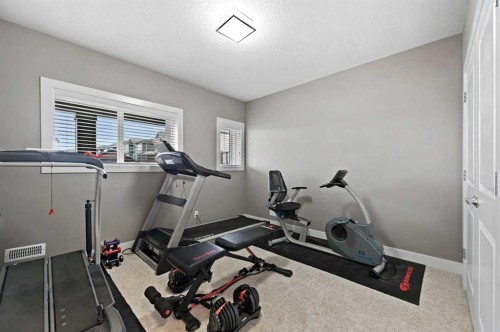 76 Legacy Circle Se, Calgary, AB - Indoor Photo Showing Gym Room