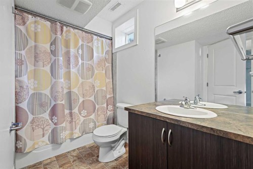 148 Copperpond Boulevard Se, Calgary, AB - Indoor Photo Showing Bathroom