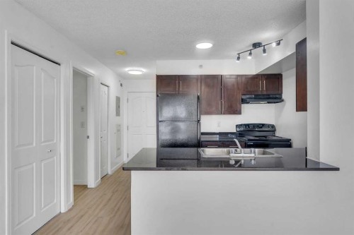 414-355 Taralake Way Ne, Calgary, AB - Indoor Photo Showing Kitchen With Double Sink
