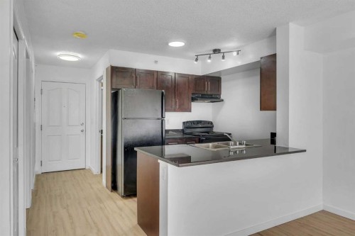 414-355 Taralake Way Ne, Calgary, AB - Indoor Photo Showing Kitchen With Double Sink