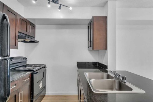 414-355 Taralake Way Ne, Calgary, AB - Indoor Photo Showing Kitchen With Double Sink