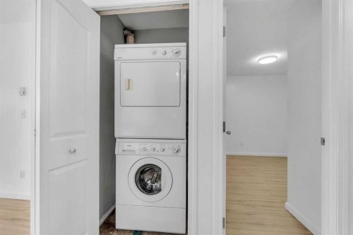 414-355 Taralake Way Ne, Calgary, AB - Indoor Photo Showing Laundry Room