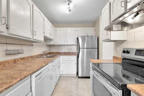 102-611 67 Avenue Sw, Calgary, AB - Indoor Photo Showing Kitchen With Double Sink