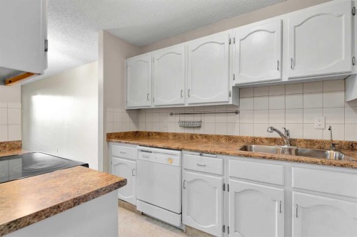 102-611 67 Avenue Sw, Calgary, AB - Indoor Photo Showing Kitchen With Double Sink
