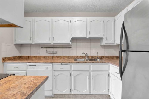 102-611 67 Avenue Sw, Calgary, AB - Indoor Photo Showing Kitchen With Double Sink