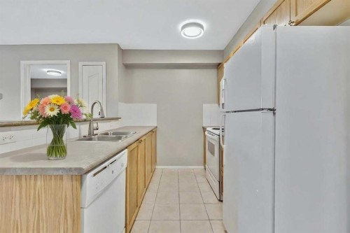 118-428 Chaparral Ravine View Se, Calgary, AB - Indoor Photo Showing Kitchen With Double Sink