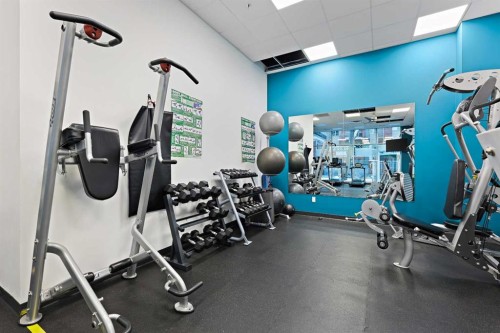 305-836 15 Avenue Sw, Calgary, AB - Indoor Photo Showing Gym Room
