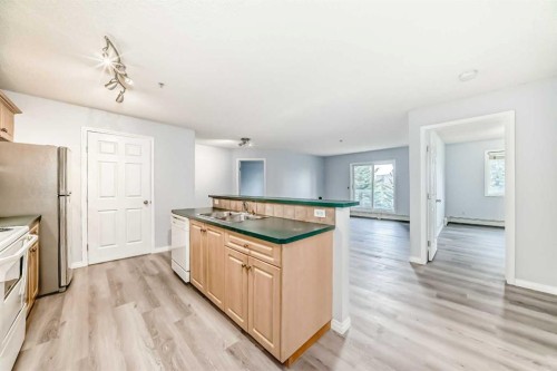 311-290 Shawville Way Se, Calgary, AB - Indoor Photo Showing Kitchen With Double Sink