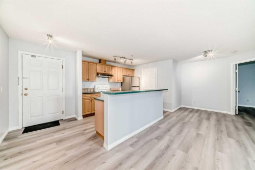 311-290 Shawville Way Se, Calgary, AB - Indoor Photo Showing Kitchen