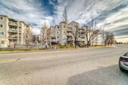 311-290 Shawville Way SE Calgary, AB T2Y 3Z9