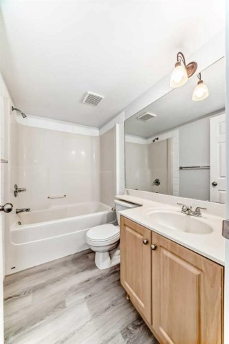 311-290 Shawville Way Se, Calgary, AB - Indoor Photo Showing Bathroom