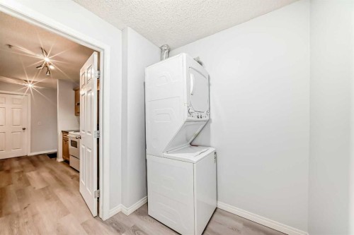 311-290 Shawville Way Se, Calgary, AB - Indoor Photo Showing Laundry Room