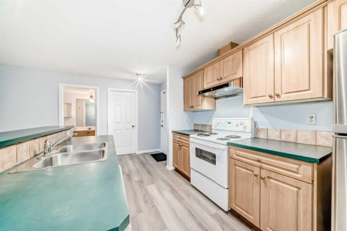 311-290 Shawville Way Se, Calgary, AB - Indoor Photo Showing Kitchen With Double Sink