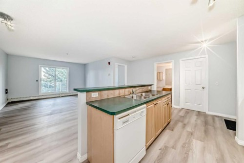 311-290 Shawville Way Se, Calgary, AB - Indoor Photo Showing Kitchen With Double Sink
