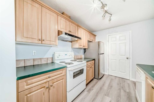311-290 Shawville Way Se, Calgary, AB - Indoor Photo Showing Kitchen