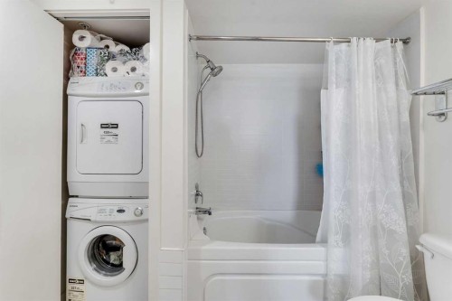 803-1110 11 Street Sw, Calgary, AB - Indoor Photo Showing Laundry Room
