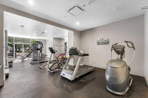 803-1110 11 Street Sw, Calgary, AB - Indoor Photo Showing Gym Room