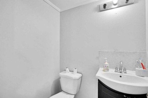 28 Abergale Close Ne, Calgary, AB - Indoor Photo Showing Bathroom