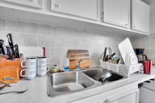 28 Abergale Close Ne, Calgary, AB - Indoor Photo Showing Kitchen With Double Sink