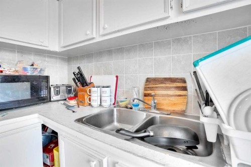 28 Abergale Close Ne, Calgary, AB - Indoor Photo Showing Kitchen With Double Sink