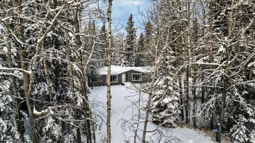 8 29415 Range Rd 52,, Rural Mountain View County, AB - Outdoor