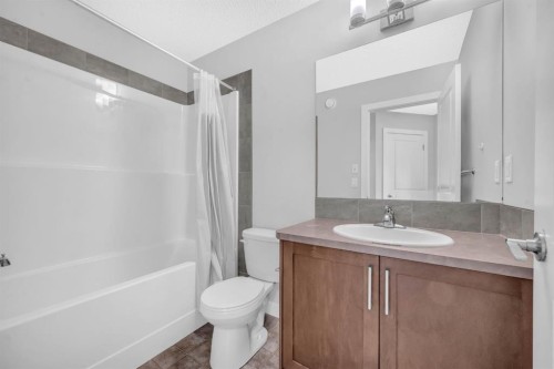 43 Cornerbrook Gate Ne, Calgary, AB - Indoor Photo Showing Bathroom
