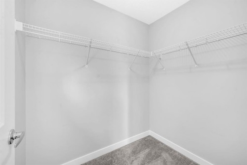 43 Cornerbrook Gate Ne, Calgary, AB - Indoor With Storage