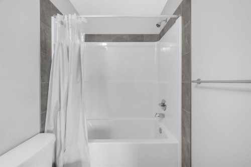 43 Cornerbrook Gate Ne, Calgary, AB - Indoor Photo Showing Bathroom