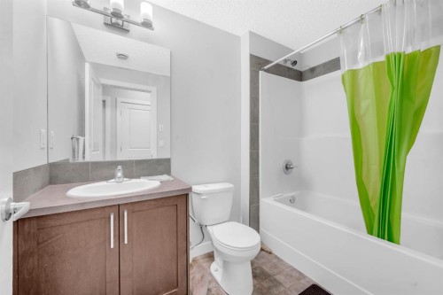 43 Cornerbrook Gate Ne, Calgary, AB - Indoor Photo Showing Bathroom