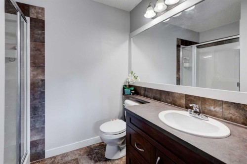 44 New Brighton Landing Se, Calgary, AB - Indoor Photo Showing Bathroom