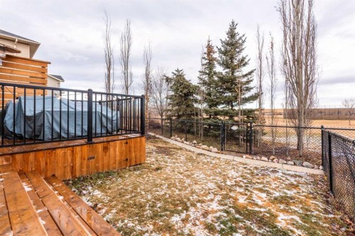 44 New Brighton Landing Se, Calgary, AB - Outdoor