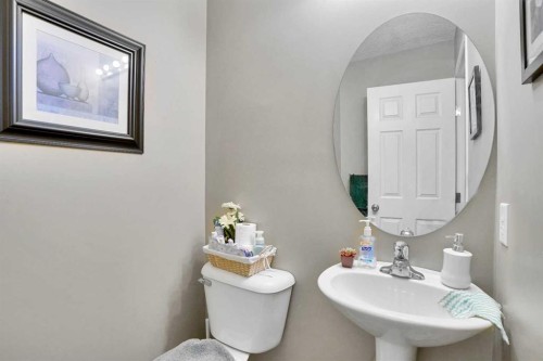 56 Country Village Manor Ne, Calgary, AB - Indoor Photo Showing Bathroom