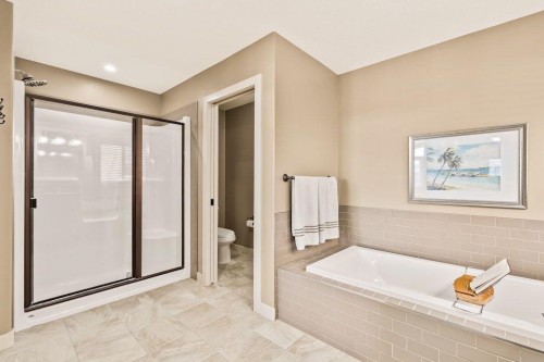 111 Marquis Cove Se, Calgary, AB - Indoor Photo Showing Bathroom