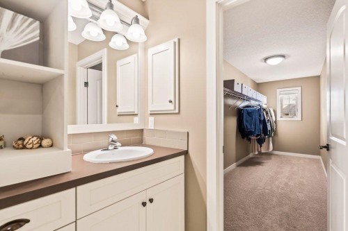 111 Marquis Cove Se, Calgary, AB - Indoor Photo Showing Bathroom