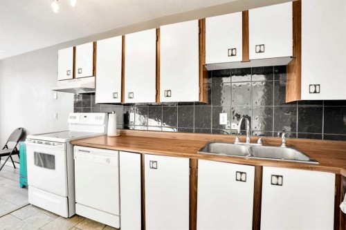 202-1529 26 Avenue Sw, Calgary, AB - Indoor Photo Showing Kitchen With Double Sink