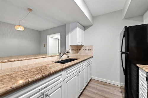 310-2204 1 Street Sw, Calgary, AB - Indoor Photo Showing Kitchen With Double Sink