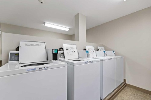 310-2204 1 Street Sw, Calgary, AB - Indoor Photo Showing Laundry Room