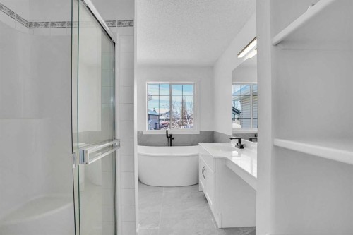 30 New Brighton Circle Se, Calgary, AB - Indoor Photo Showing Bathroom