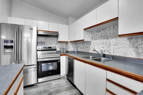 63 Martinbrook Road Ne, Calgary, AB - Indoor Photo Showing Kitchen With Stainless Steel Kitchen With Double Sink