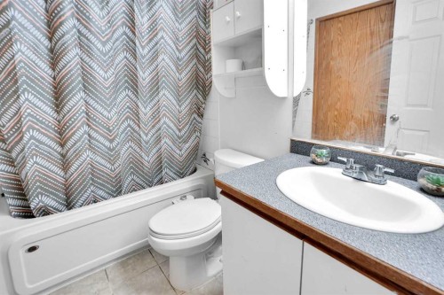 63 Martinbrook Road Ne, Calgary, AB - Indoor Photo Showing Bathroom
