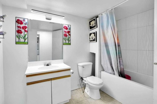63 Martinbrook Road Ne, Calgary, AB - Indoor Photo Showing Bathroom