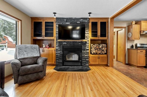 101-04042 Highway 587, Rural Red Deer County, AB - Indoor Photo Showing Living Room With Fireplace