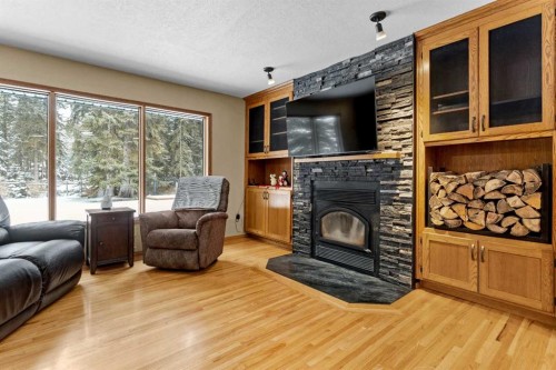 101-04042 Highway 587, Rural Red Deer County, AB - Indoor Photo Showing Living Room With Fireplace