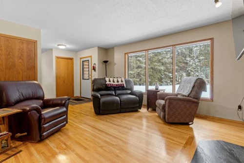 101-04042 Highway 587, Rural Red Deer County, AB - Indoor Photo Showing Living Room