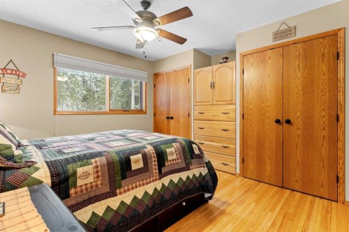 101-04042 Highway 587, Rural Red Deer County, AB - Indoor Photo Showing Bedroom