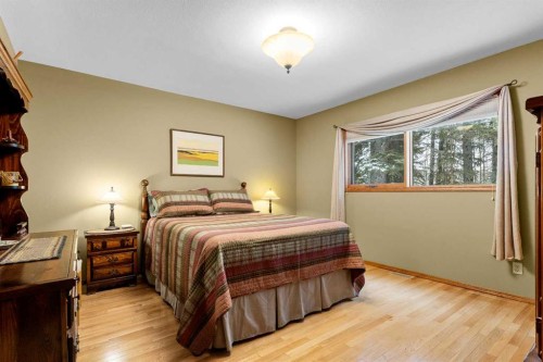 101-04042 Highway 587, Rural Red Deer County, AB - Indoor Photo Showing Bedroom