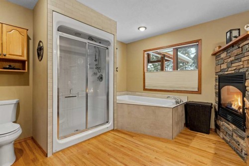 101-04042 Highway 587, Rural Red Deer County, AB - Indoor Photo Showing Bathroom