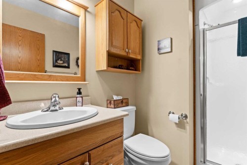 101-04042 Highway 587, Rural Red Deer County, AB - Indoor Photo Showing Bathroom