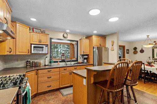 101-04042 Highway 587, Rural Red Deer County, AB - Indoor Photo Showing Kitchen With Double Sink