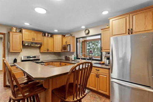 101-04042 Highway 587, Rural Red Deer County, AB - Indoor Photo Showing Kitchen With Double Sink